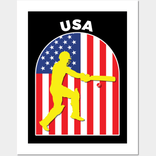 USA Cricket Batsman American Flag Posters and Art